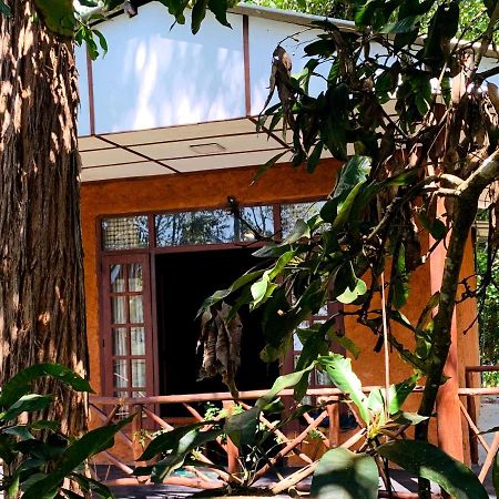 The Nirwana Cottage Элла Экстерьер фото