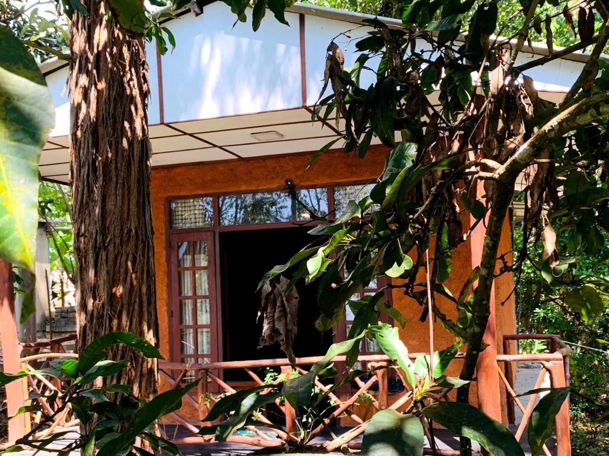 The Nirwana Cottage Элла Экстерьер фото